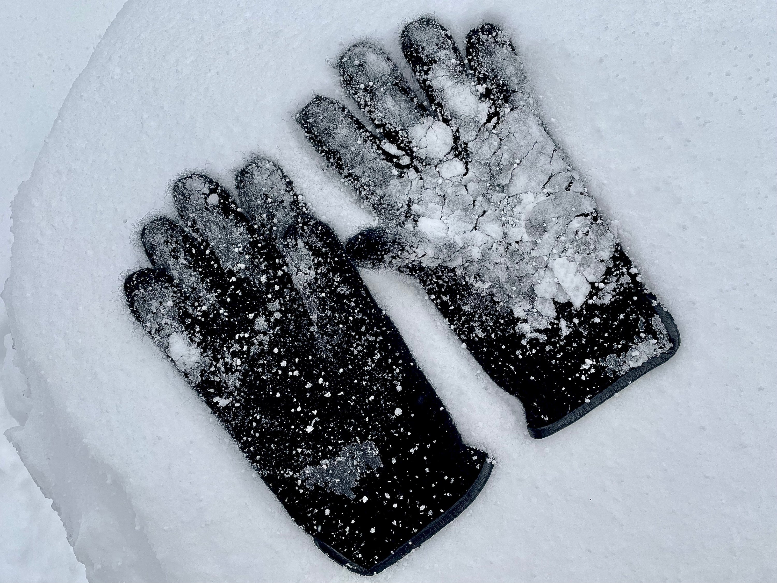 tittimitti® 100% Virgin Wool Unisex Gloves with Genuine Leather Trim.